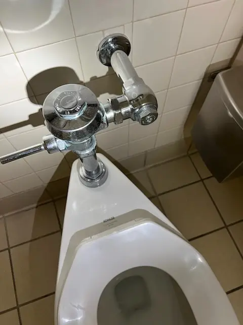 Fixture installation and repair for Garbage Disposal in Carters Store